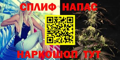 ALPHA PVP Шахты
