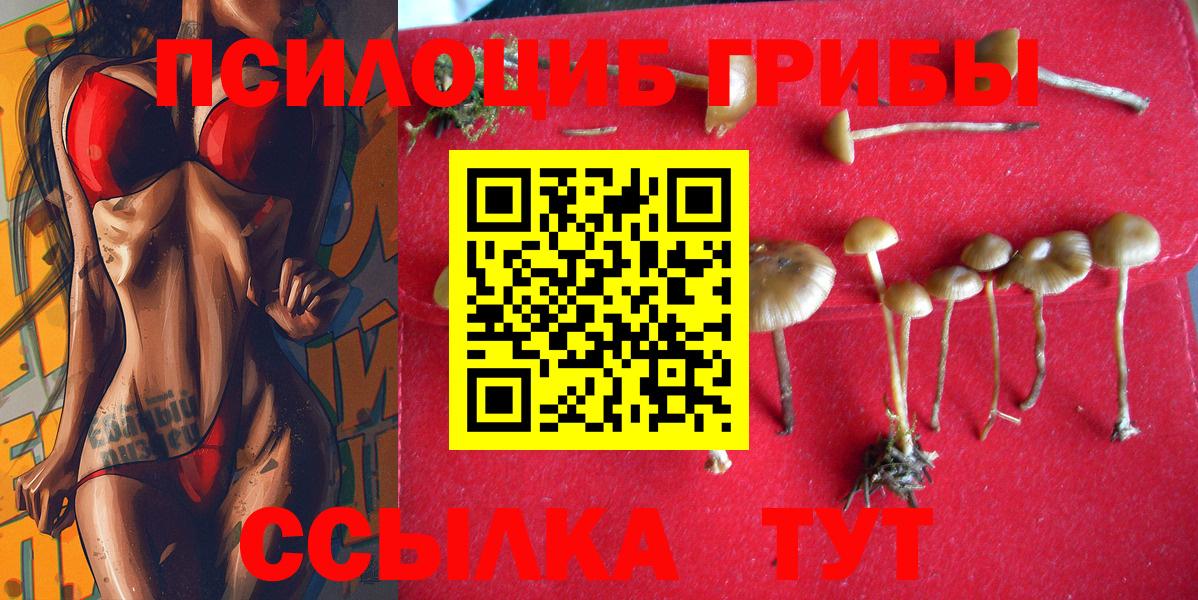 Галлюциногенные грибы мицелий  Галлюциногенные грибы Magic Shrooms  что такое наркотик  Вход с VPN  Егорьевск 